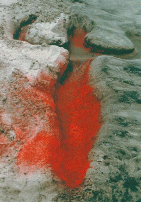 Ana Mendieta - 