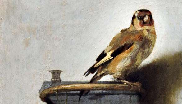 The Goldfinch