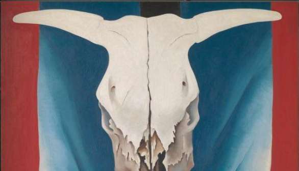 Cow's Skull