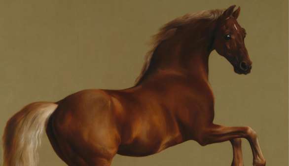 Whistlejacket by George Stubbs